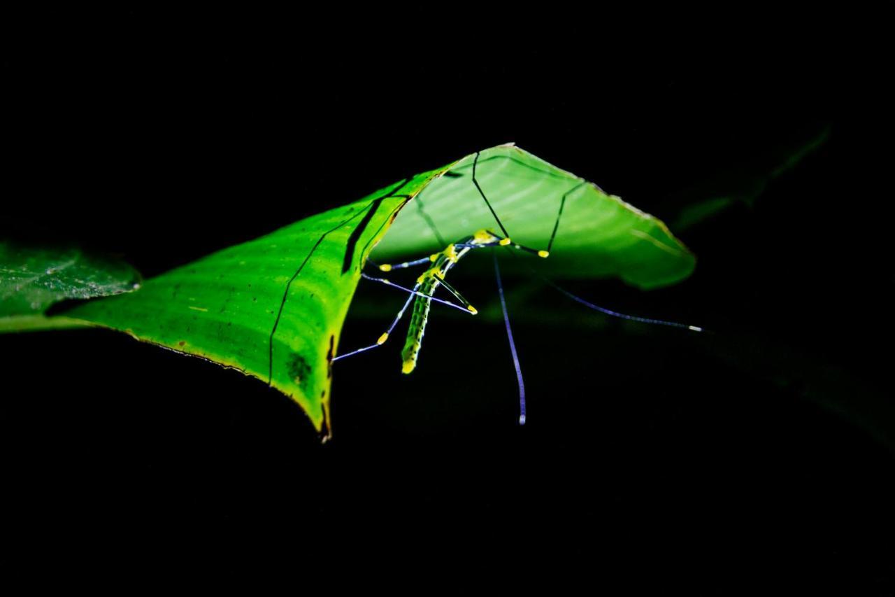 Kuyana Amazon Lodge Archidona Buitenkant foto